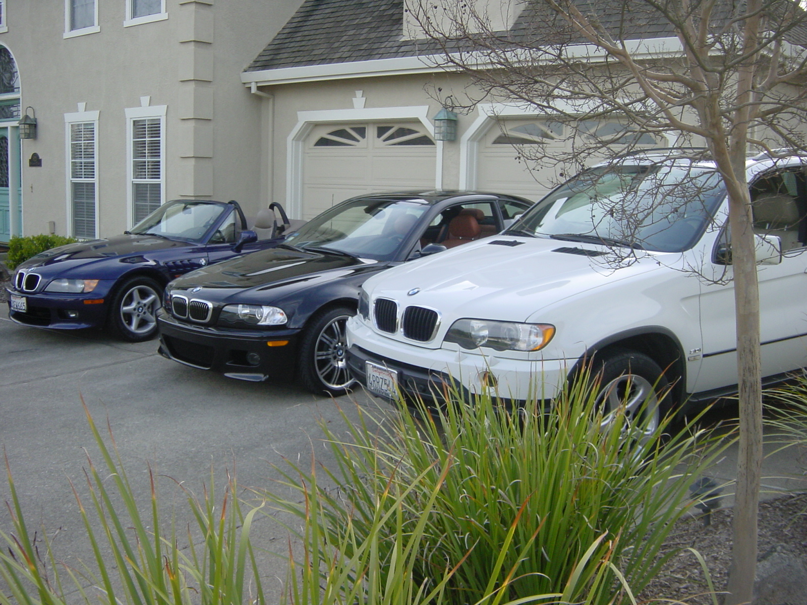 BMW   19